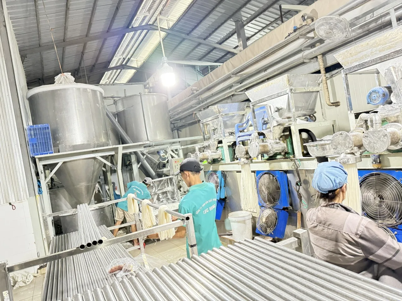 Dây chuyền bún khô đang vận hành thực tế.
