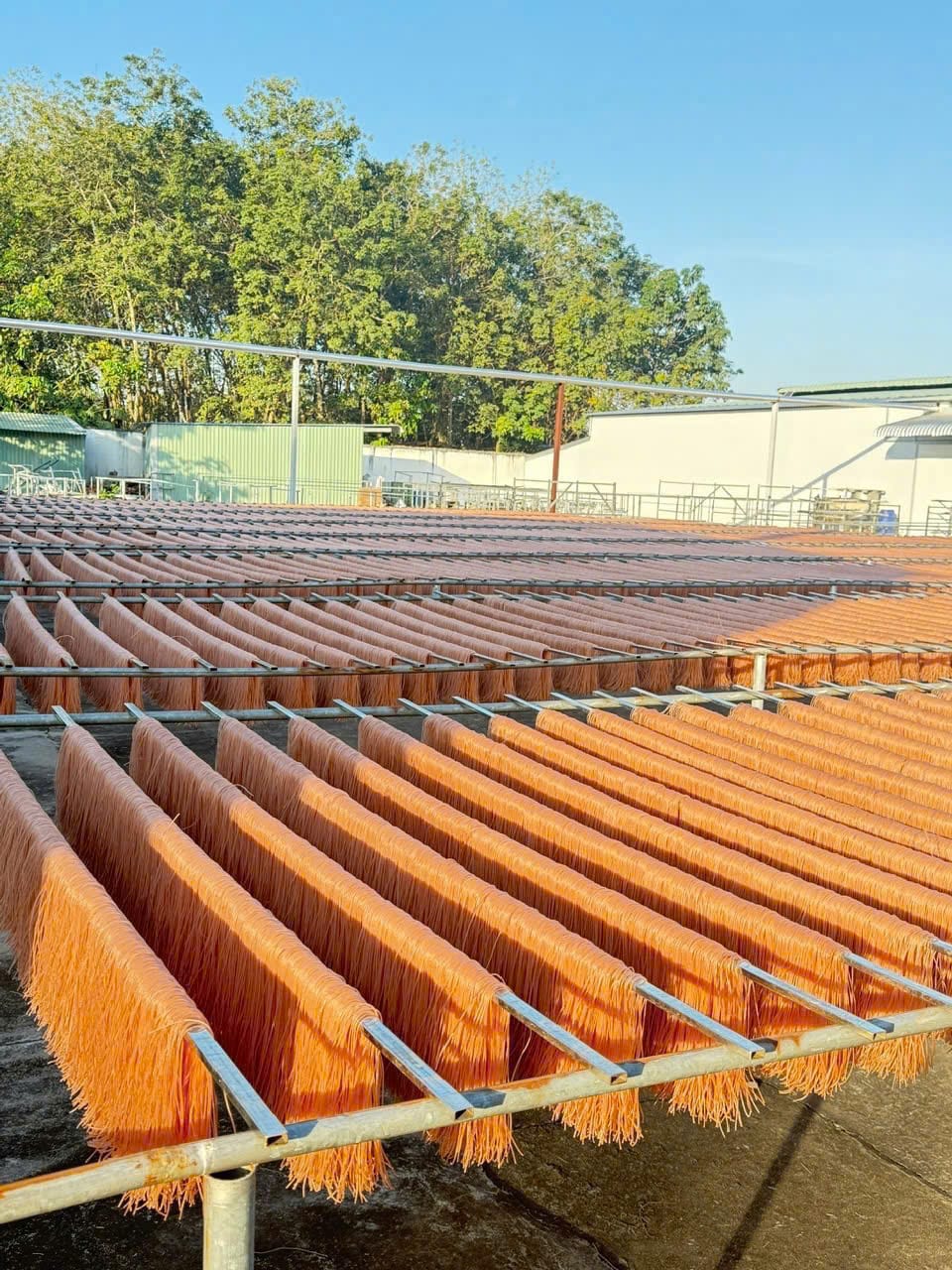 Khu vực phơi bún khô — khu vực sản xuất