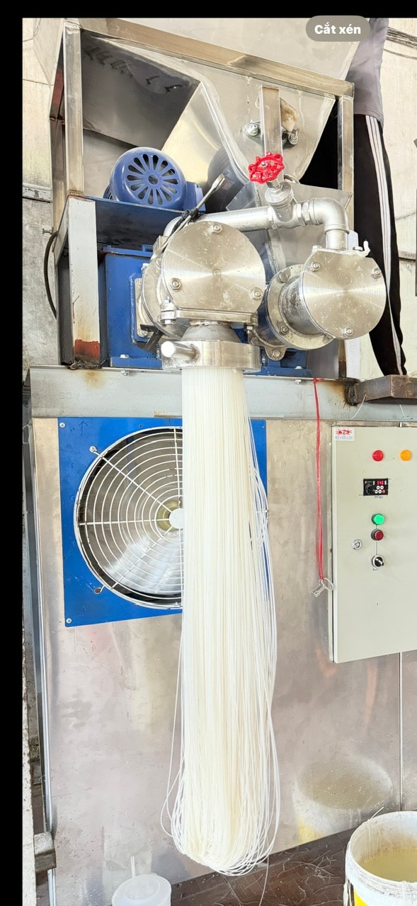 Cụm tạo sợi và chuyển sản phẩm trong dây chuyền phở khô.
